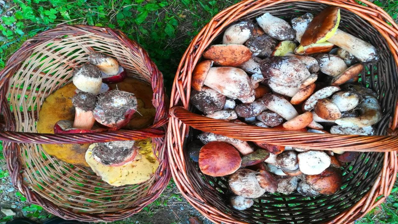 Can Guasch Camprodon Eksteriør billede